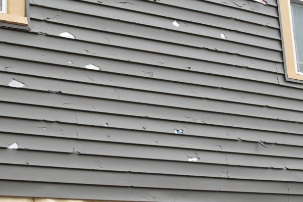 Best Construction Debris Removal  in Webster, SD